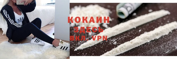 бошки Балахна
