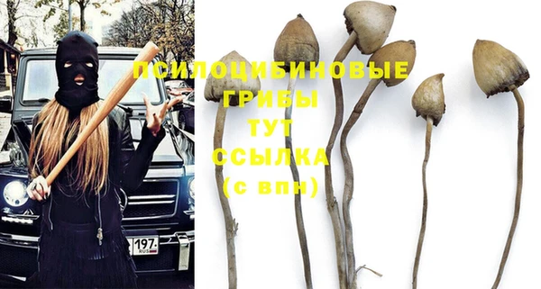 ГАЛЛЮЦИНОГЕННЫЕ ГРИБЫ Балабаново