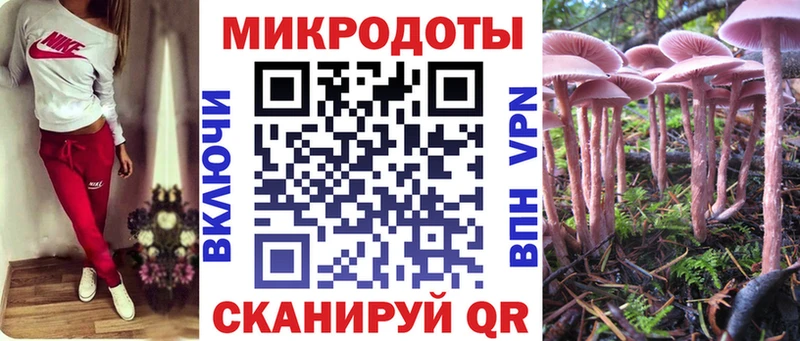 даркнет сайт OMG сайт Галлюциногенные грибы GOLDEN TEACHER Краснокамск